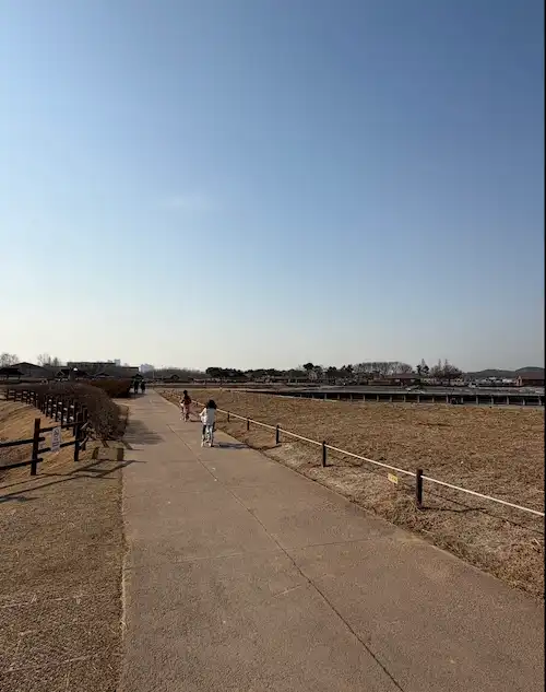 갯골생태공원 자전거 산책로에서 아이들이 자전거를 타는 모습