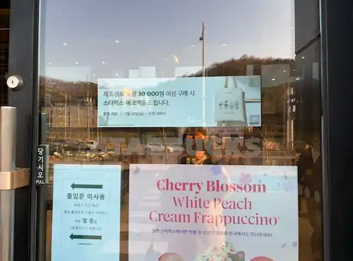 스타벅스 에코백 증정 이벤트 안내 포스터 내용