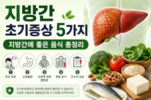 지방간 초기증상 5가지와 좋은 음식 총정리 대표이미지