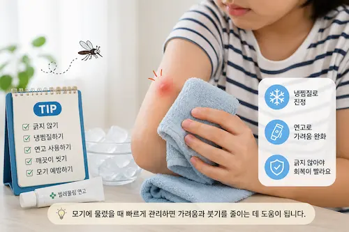모기에 물린 부위에 냉찜질을 하는 모습