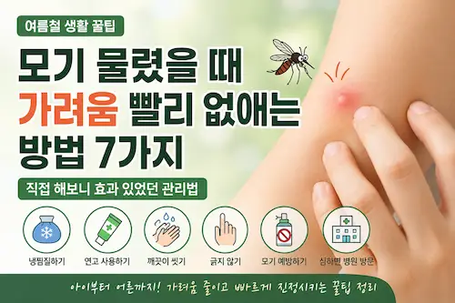 모기 물렸을 때 가려움을 줄이는 관리 방법